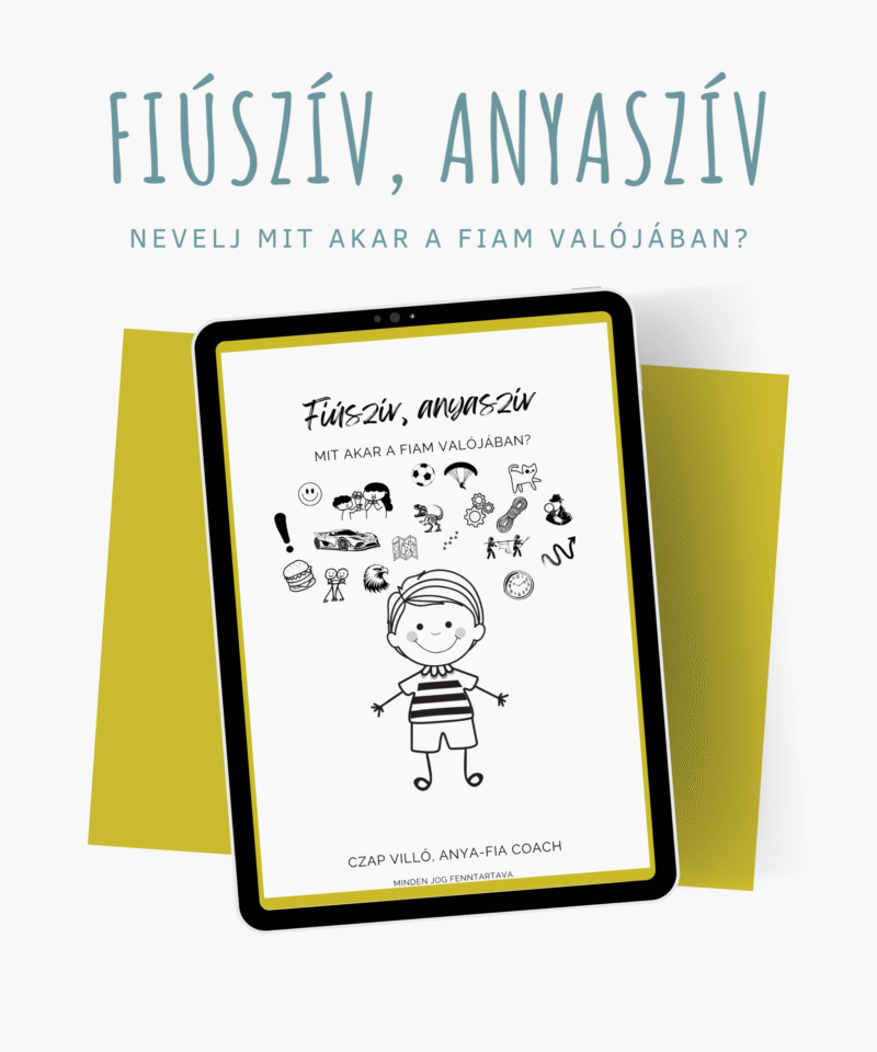 Fiúszív, Anyaszív terméklap